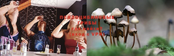 apvp Беломорск