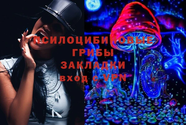 герыч Магас