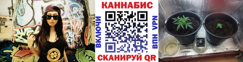 Конопля THC 21%  Заозёрск 